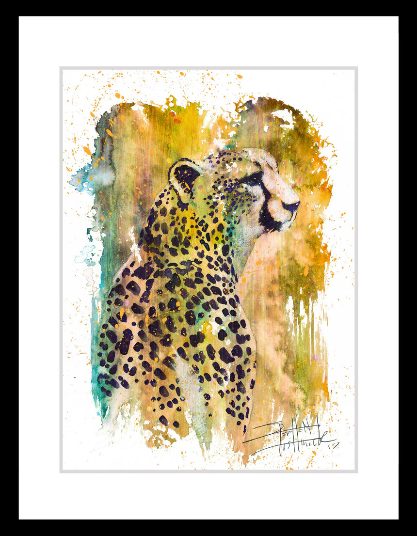 Wild Colors: Cheetah