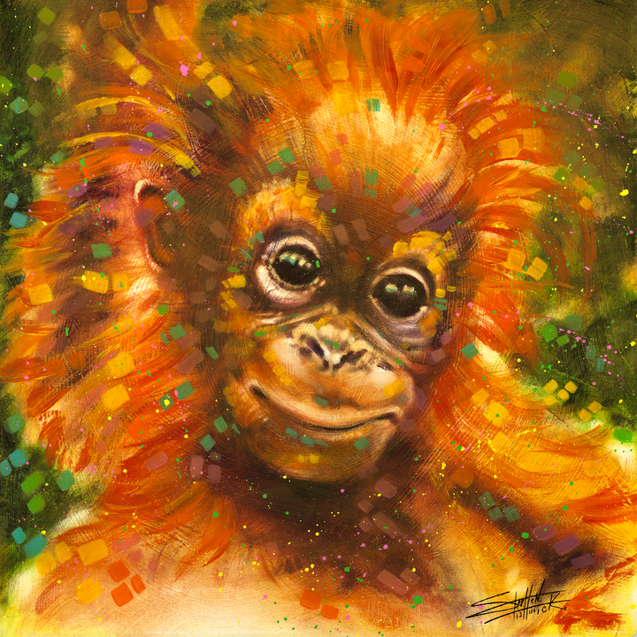 Baby Orangutan