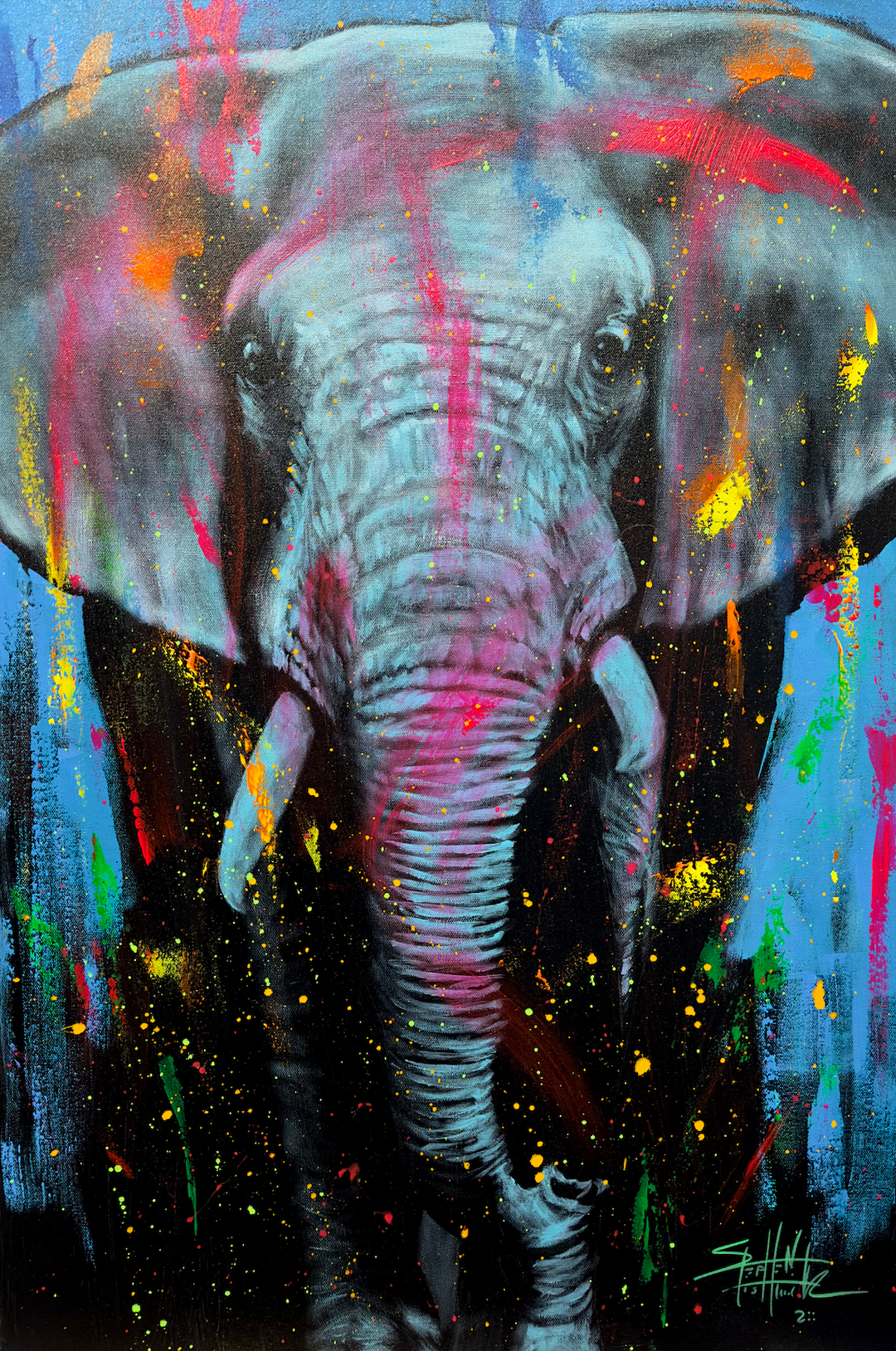 Elephant in Color