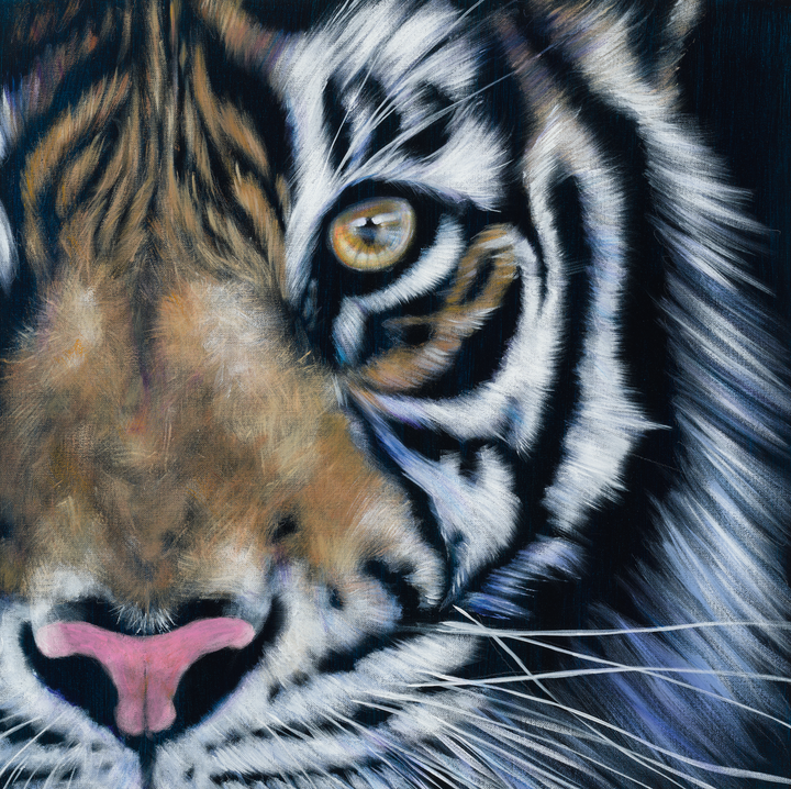 Eye of the Wild