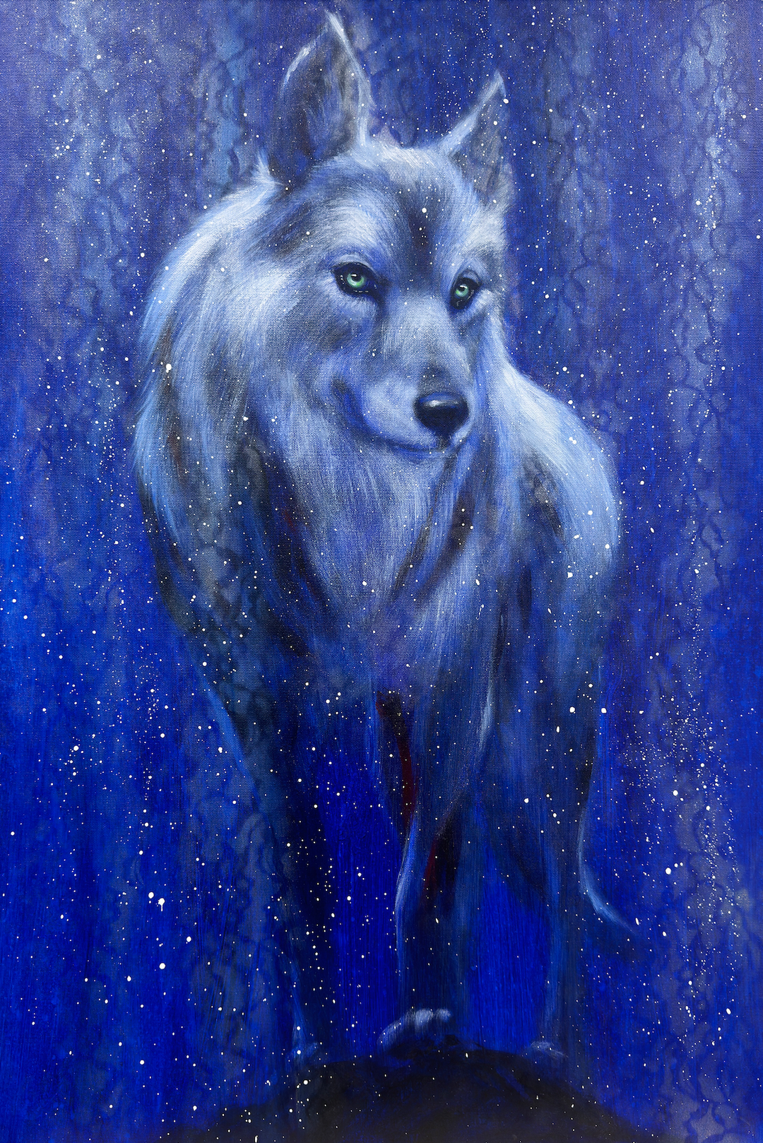 Guardian of the Midnight Sky