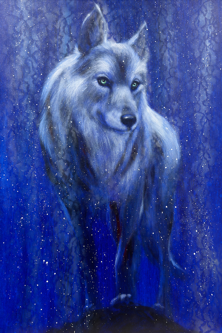 Guardian of the Midnight Sky