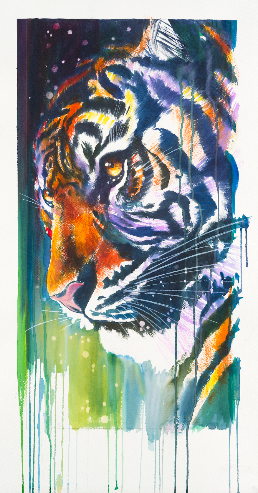 Into the Jungle