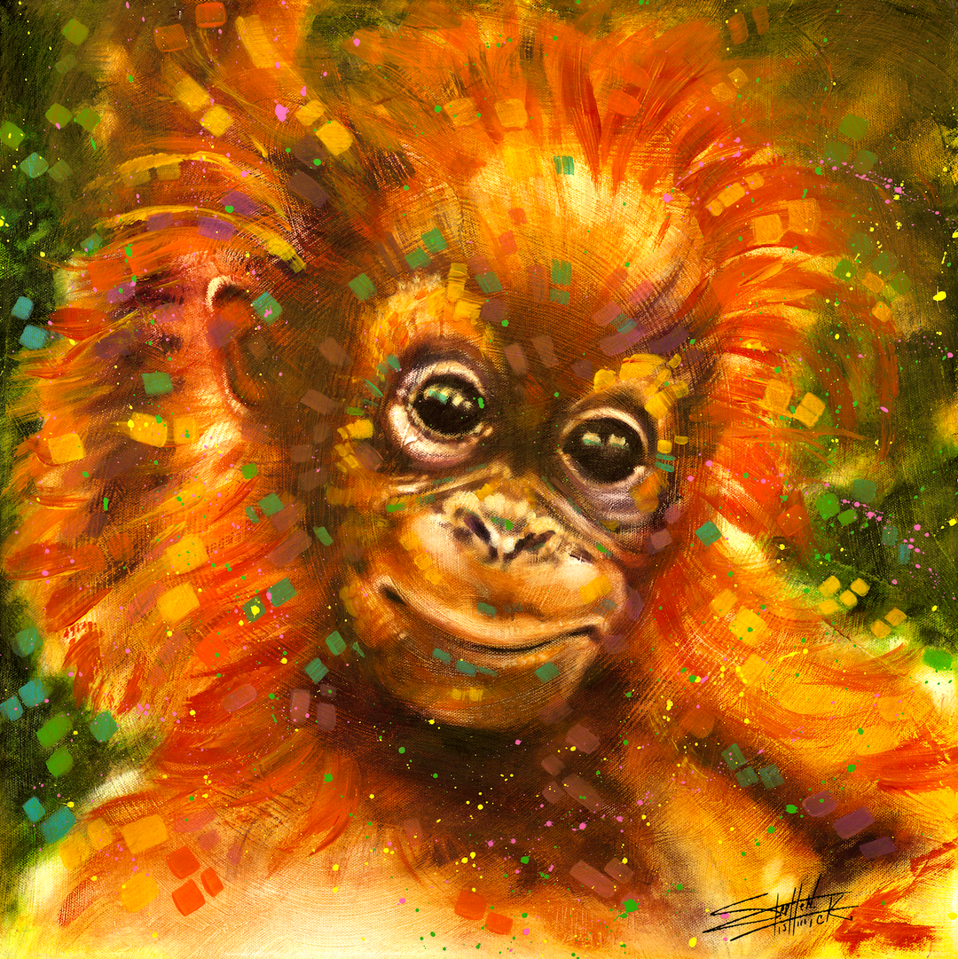 Orangutan