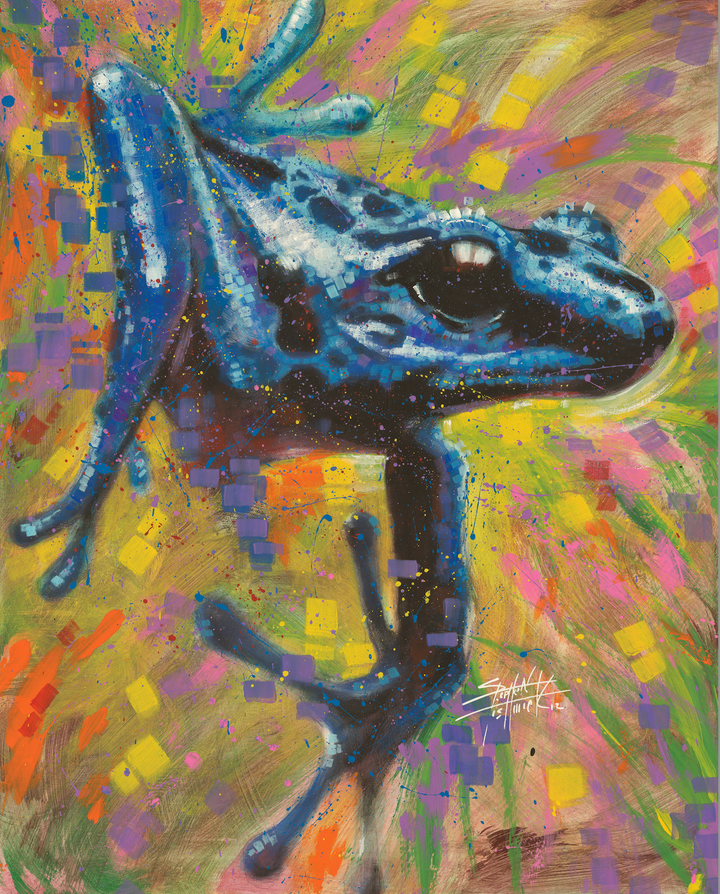 Rainforest Rhythm
