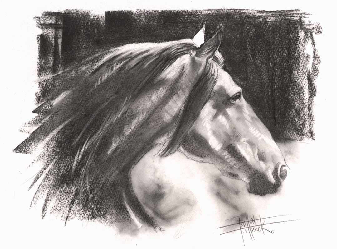 Silver Mane