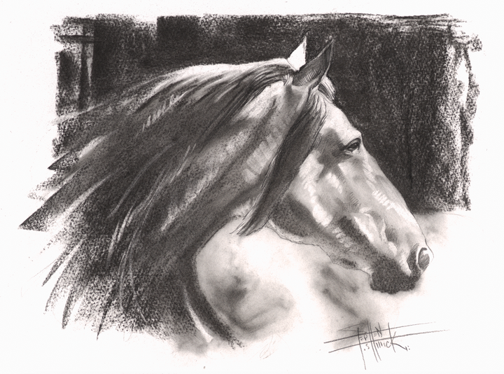 Silver Mane