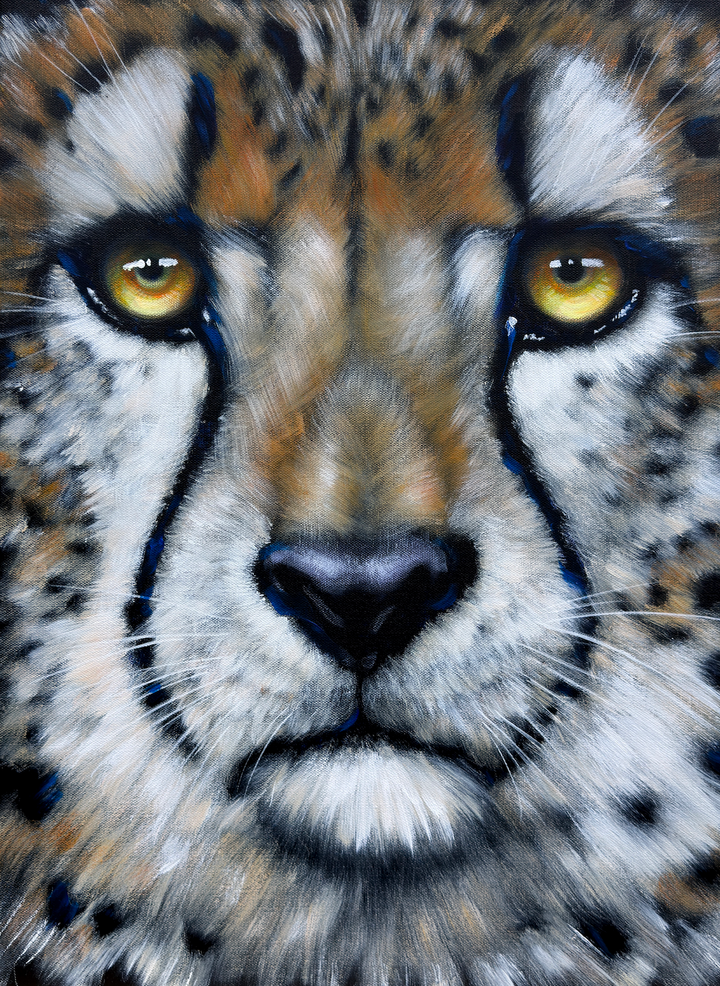 Wild Frequency