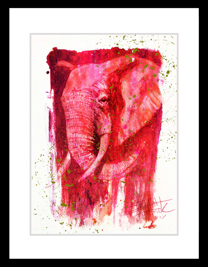 Wild Colors: Elephant