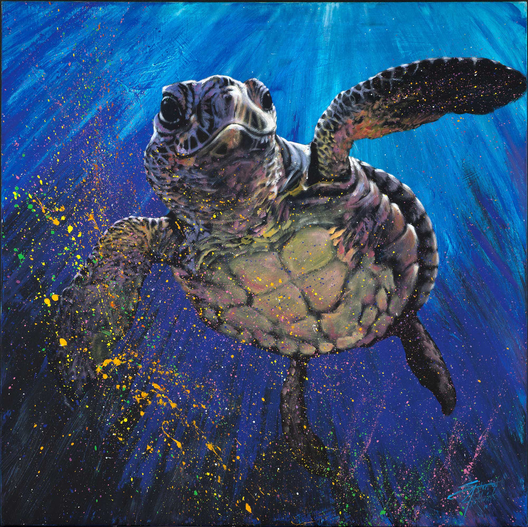 Animal Paintings, Animal Canvas Print | Stephen Fishwick Art - Stephen ...
