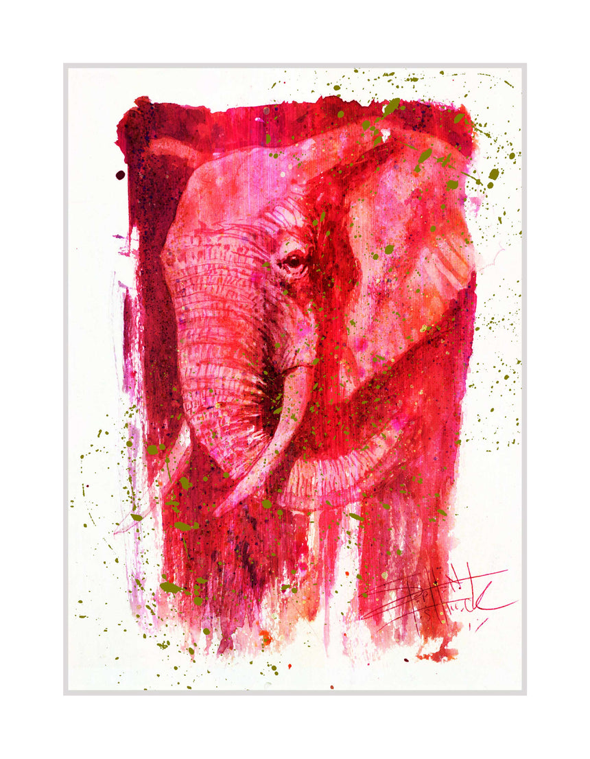 Wild Colors: Elephant