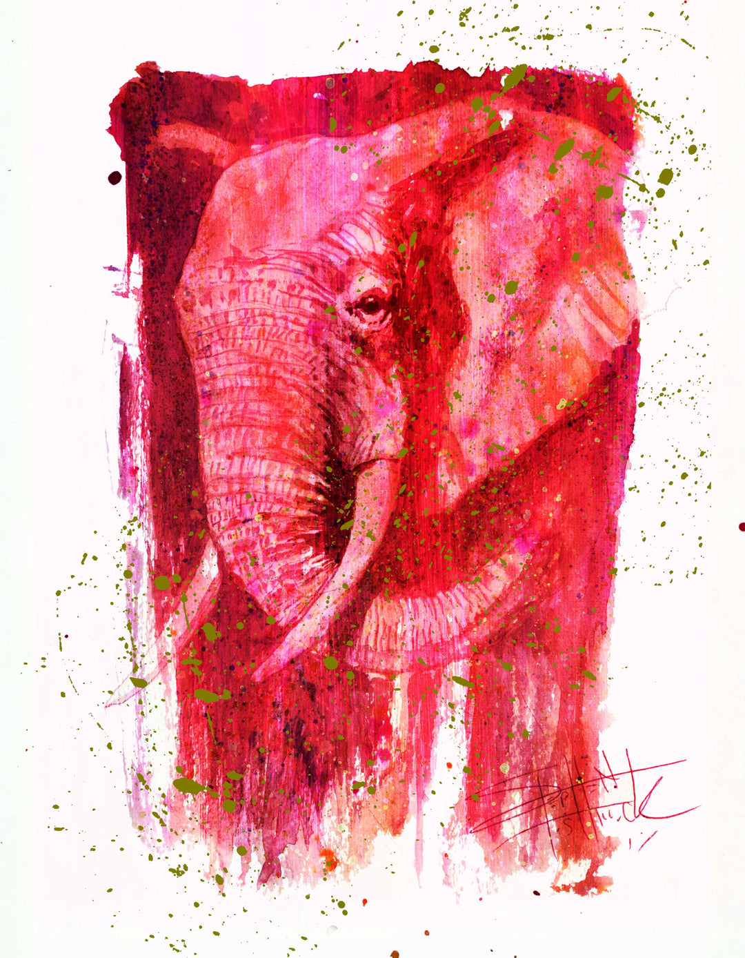 Animal Paintings, Animal Canvas Print | Stephen Fishwick Art - Stephen ...