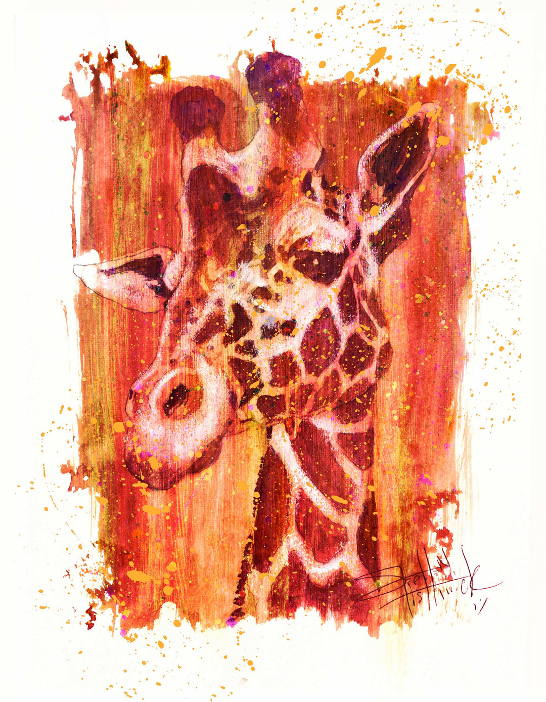 Animal Paintings, Animal Canvas Print | Stephen Fishwick Art - Stephen ...